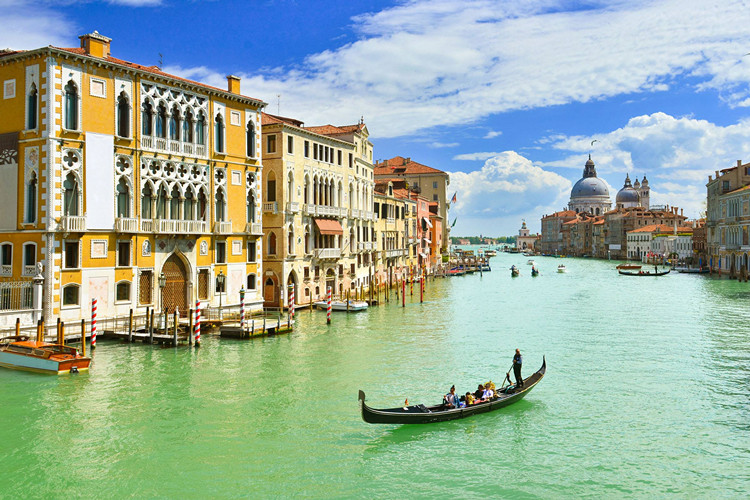 想报名北京中医药大学专升本的中药学专业怎么样?