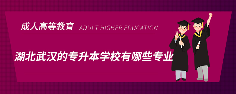 湖北武汉的专升本学校有哪些专业