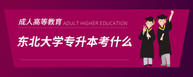 东北大学专升本考什么