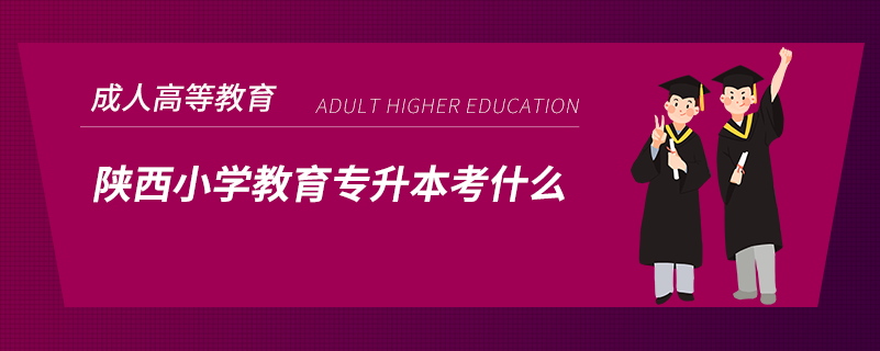 陕西小学教育专升本考什么