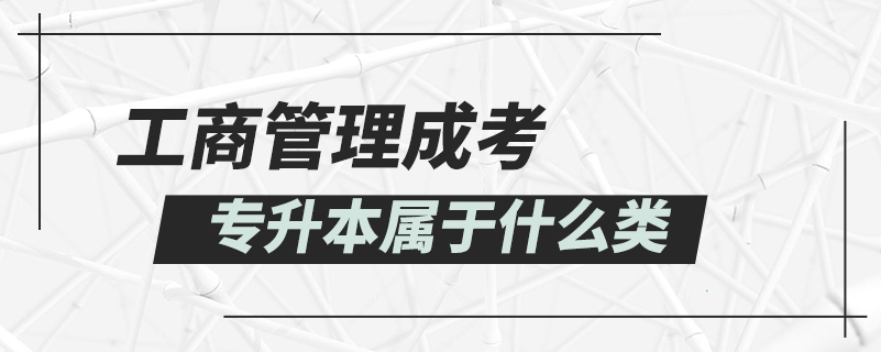 工商管理成考专升本属于什么类