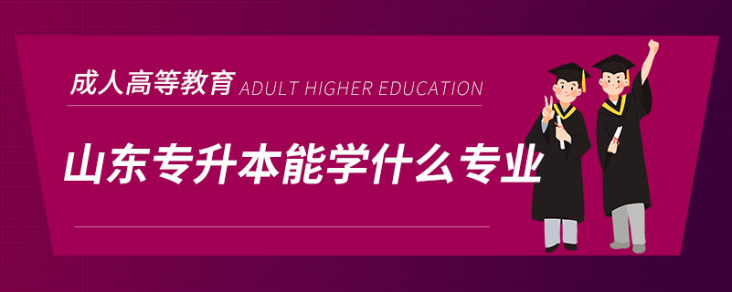 山东专升本能学什么专业