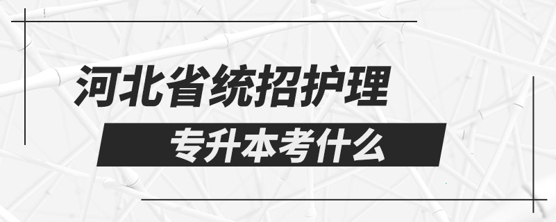 河北省统招护理专升本考什么