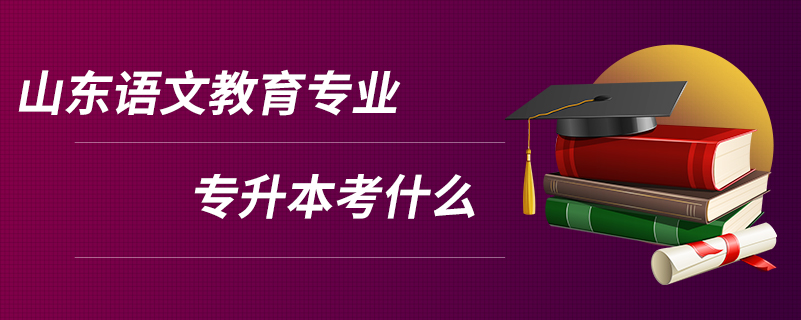 山东语文教育专业专升本考什么