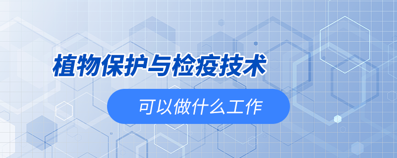 植物保护与检疫技术可以做什么工作