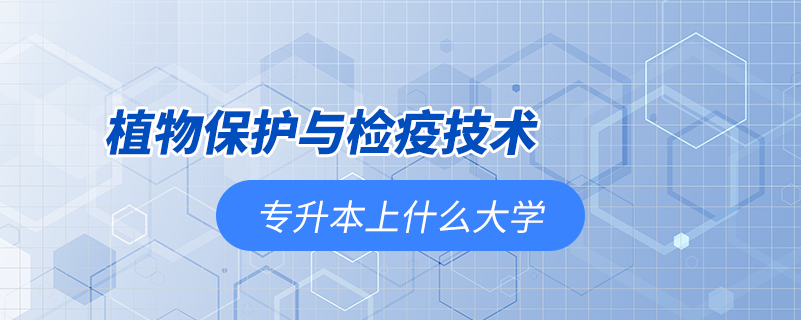 植物保护与检疫技术专升本能上什么大学