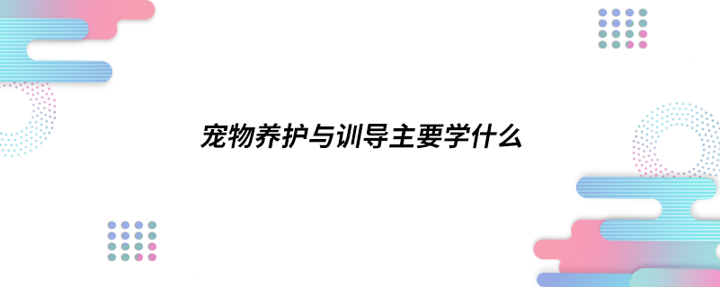 宠物养护与训导主要学什么