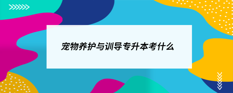 宠物养护与训导专升本考什么 