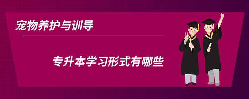 宠物养护与训导专升本学习形式有哪些