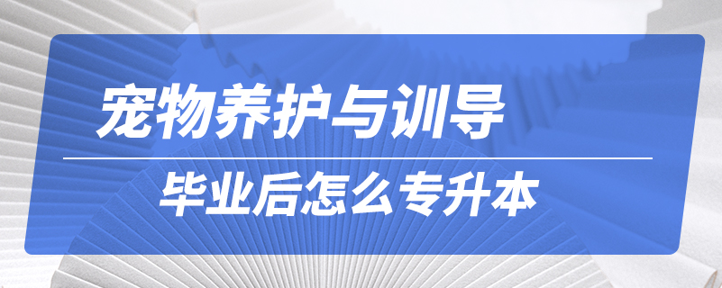 宠物养护与训导毕业后怎么专升本