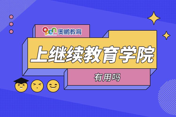 上继续教育学院有用吗