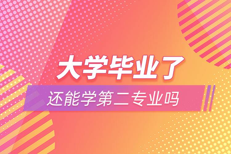 大学毕业了还能学第二专业吗