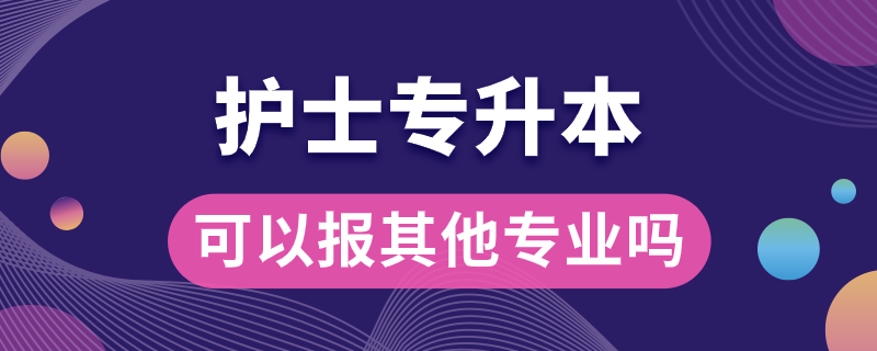 护士专升本可以报其他专业吗