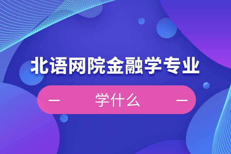 北语网院金融学专业学什么