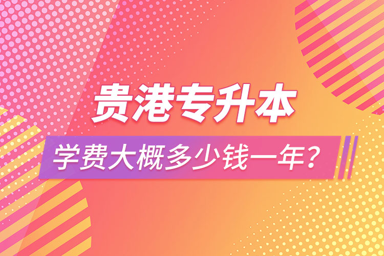 贵港专升本学费大概多少钱一年？