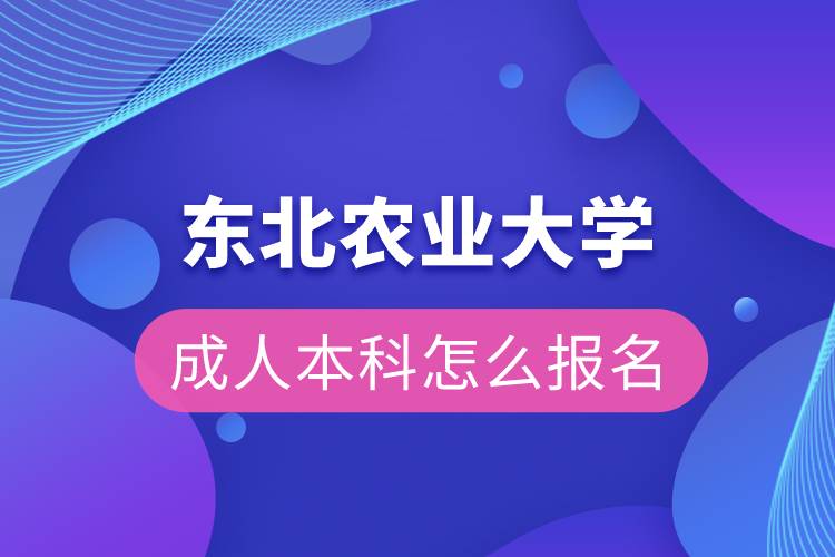 东北农业大学成人本科怎么报名