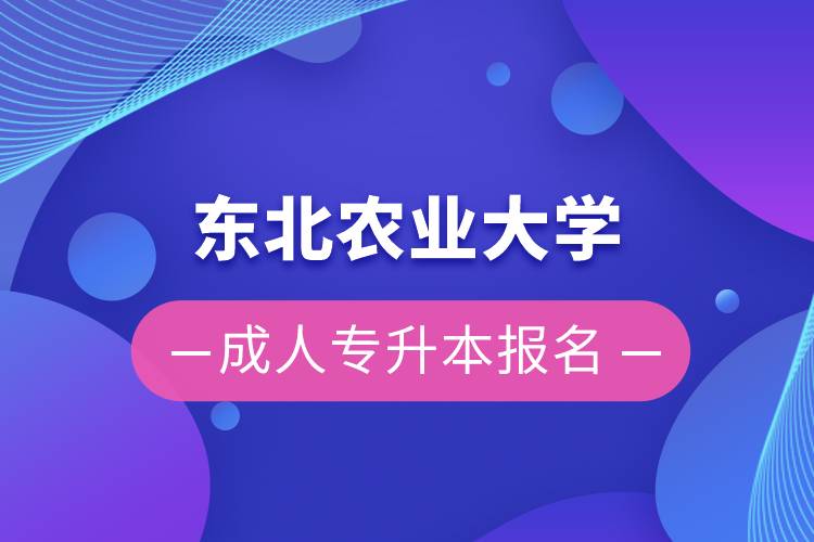 东北农业大学成人专升本报名