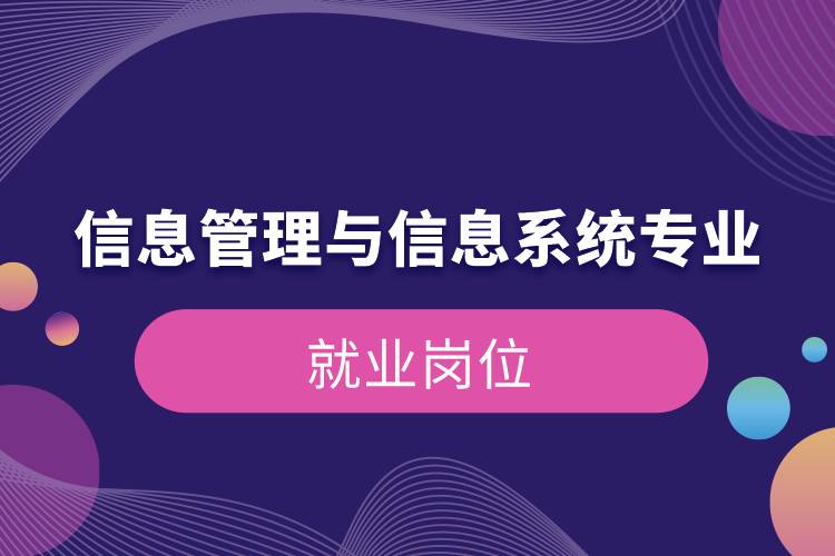 信息管理与信息系统专业就业岗位