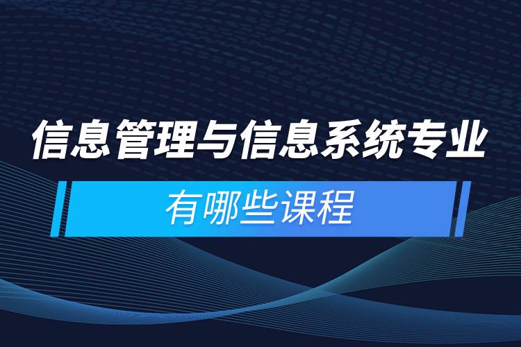 信息管理与信息系统专业有哪些课程