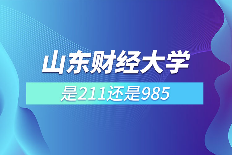 山东财经大学是211还是985