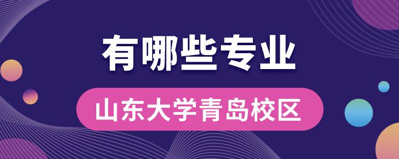 山东大学青岛校区有哪些专业