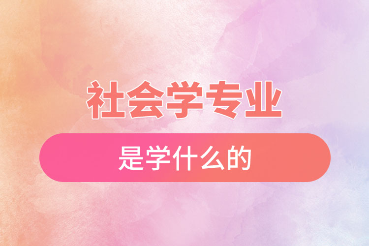 社会学专业是学什么的