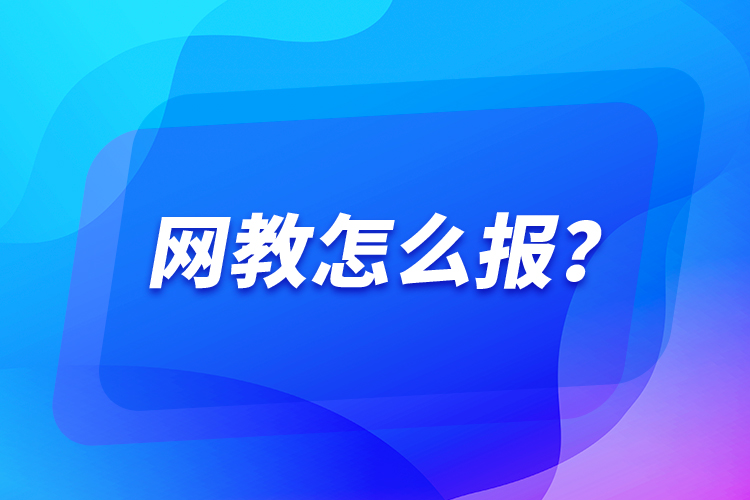 网教怎么报？