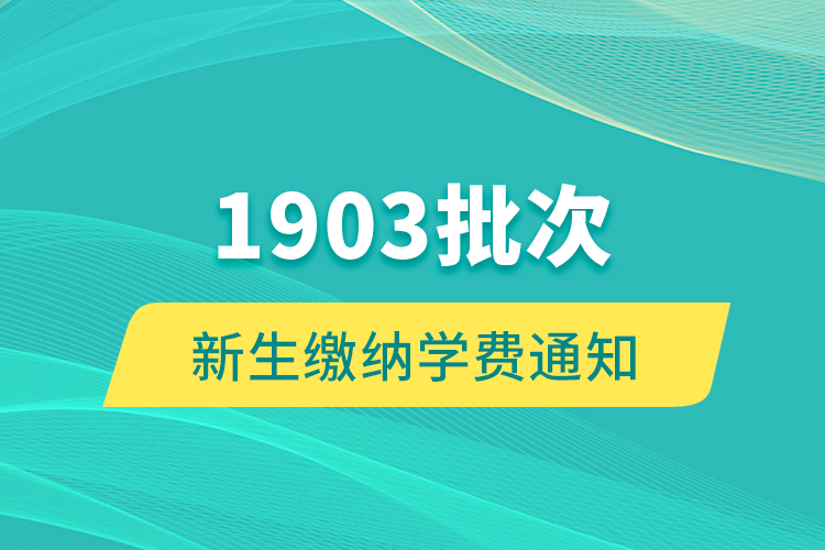 1903批次新生缴纳学费通知