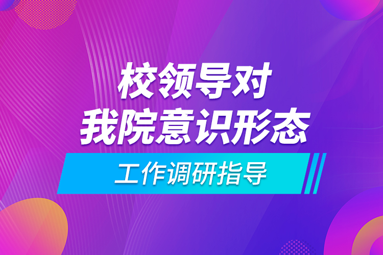 校领导对我院意识形态工作调研指导