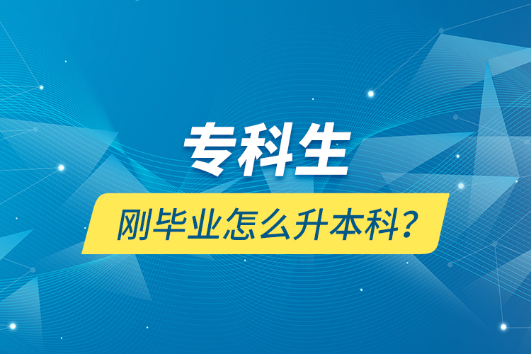 专科生刚毕业怎么升本科？