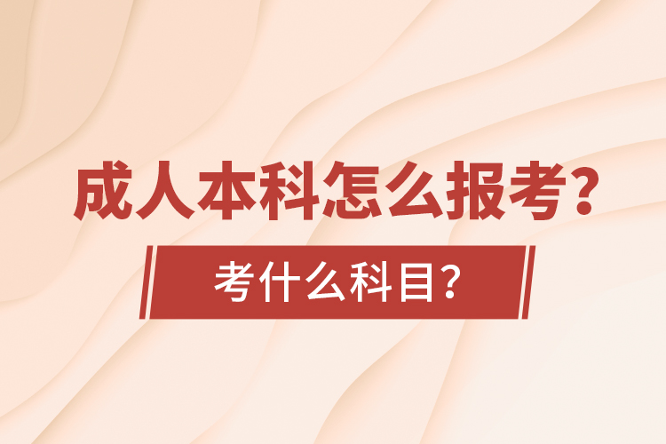 成人本科怎么报考？考什么科目？