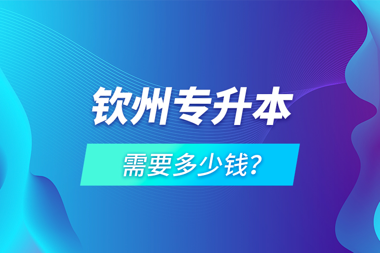 钦州专升本需要多少钱？