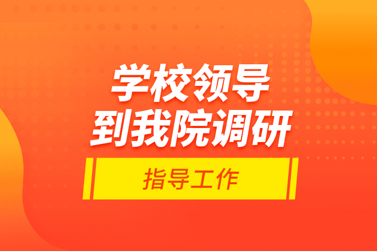 学校领导到我院调研指导工作