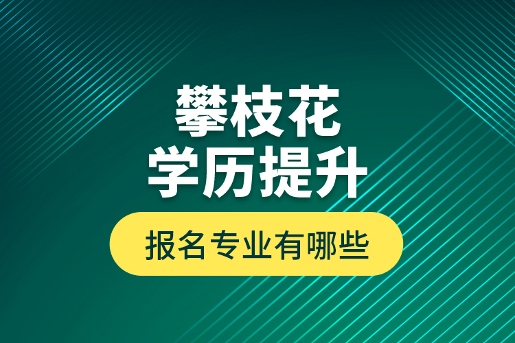 攀枝花学历提升报名专业有哪些？